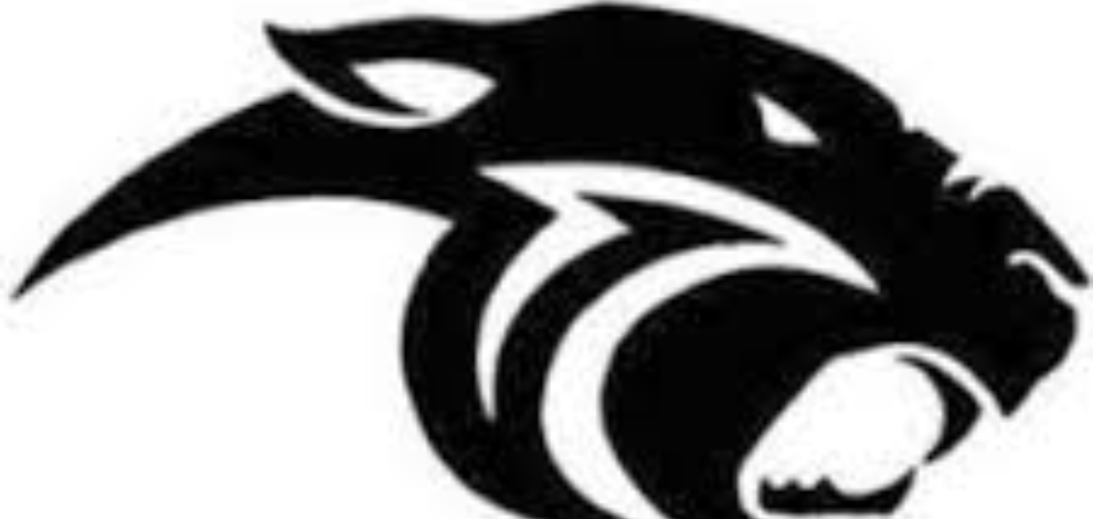 Panthers